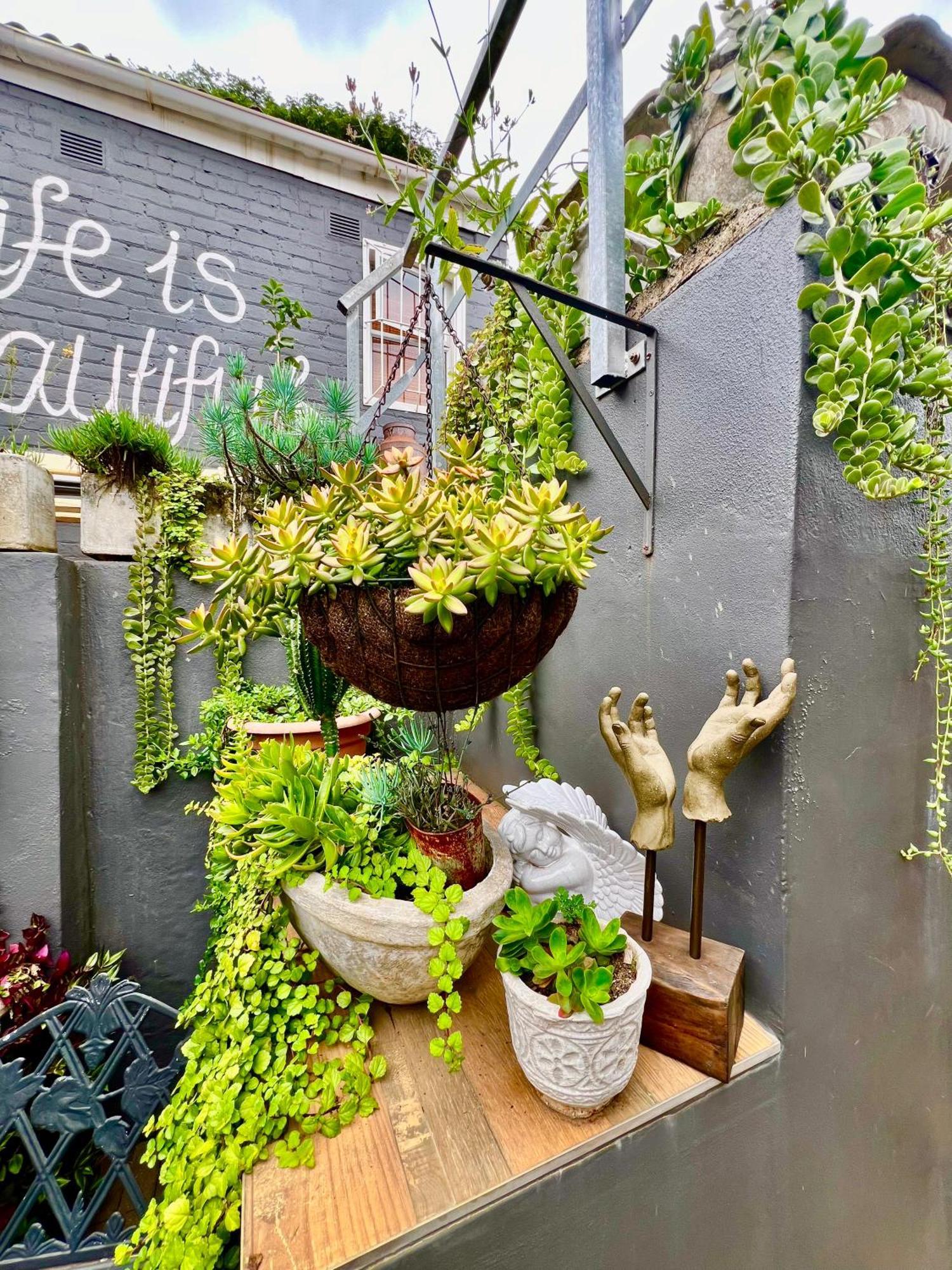 دوربان Terebinte Bed & Breakfast المظهر الخارجي الصورة